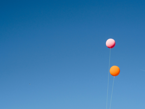 Bluesky Verification is Here: How the Blue Check Works